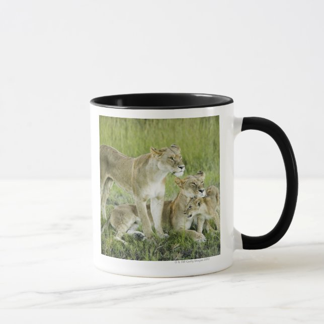 Mug Famille de lion au Kenya, Afrique (Droite)