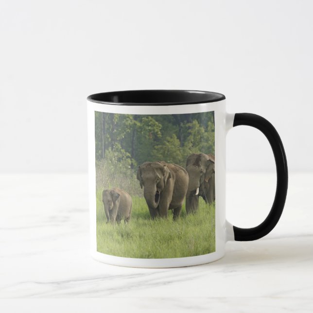 Mug Famille d'éléphants indiens (Droite)