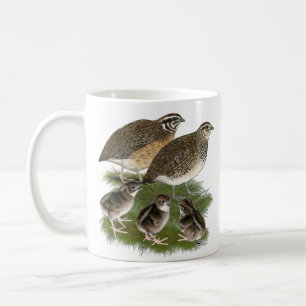 Mug Famille des Cailles Coturnix