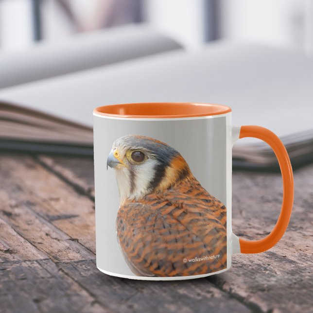 Mug Faucon étonnant de Kestrel Sparrowhawk américain (Stunning American Kestrel Sparrowhawk 11 oz Coffee Mug Cover Photo.)