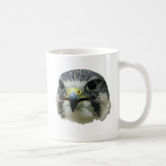 Mug Faucon pérégrin