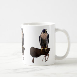 Mug Faucon pérégrin sur le gant
