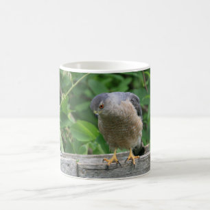 Mug Faucon Shinned par dièse observant votre jardin
