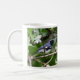 Mug fauvette bleue Noir-throated
