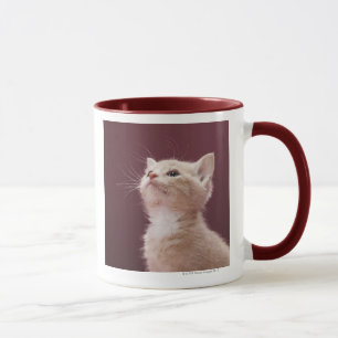 Mug Favoris de chaton