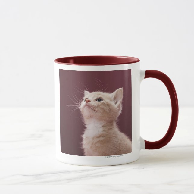 Mug Favoris de chaton (Droite)