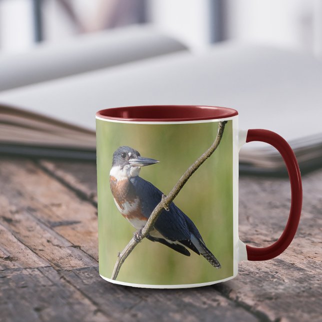 Mug Femme Belted Kingfisher dehors sur un membre (Femaled Belted Kingfisher on a Branch 11 oz Coffee Mug Cover Photo.)