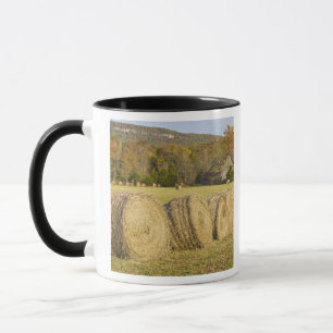 Mug Ferme historique dans la rivière nationale Buffalo