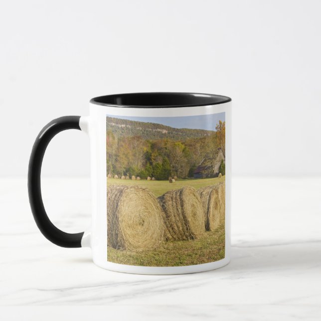 Mug Ferme historique dans la rivière nationale Buffalo (Gauche)