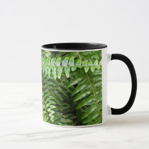 Mug Fermer Fronds I Green Nature