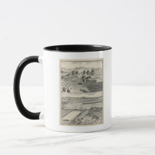Mug Fermes, Capay Valley, Madison
