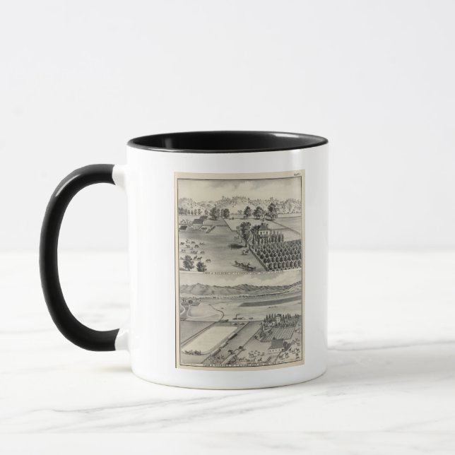 Mug Fermes, Capay Valley, Madison (Gauche)