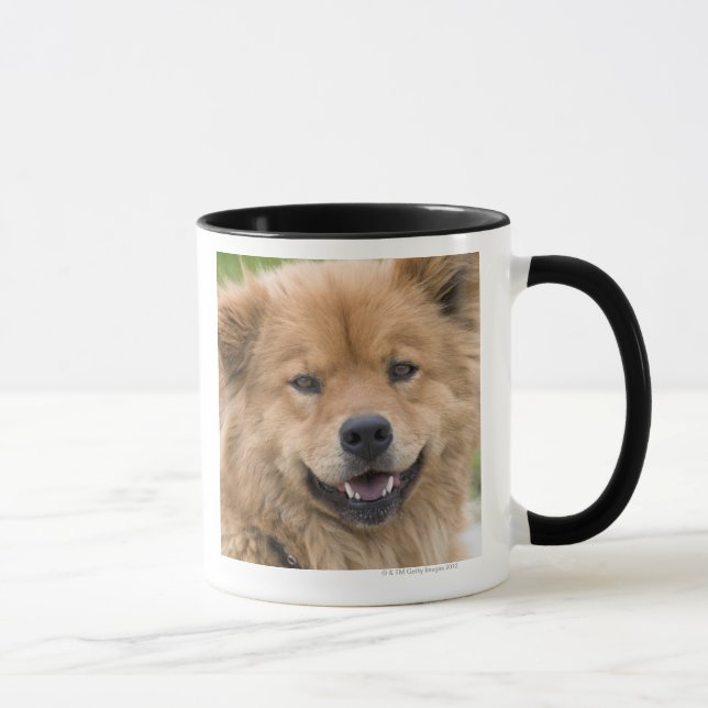 Mug Fermez-vous du chien de mélange de bouffe dehors (Droite)
