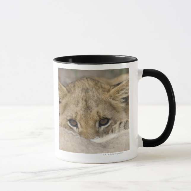 Mug Fermez-vous du visage de petit animal de lion (Droite)