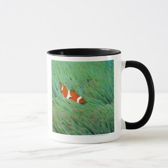 Mug Fermez-vous d'un poisson d'anémone de clown, (Droite)