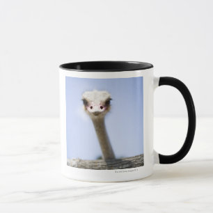 Mug Fermez-vous vers le haut de la tête d'autruche