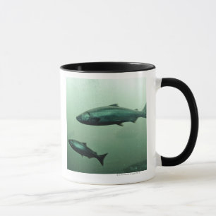 Mug Fermez-vous vers le haut du tir du fonctionnement