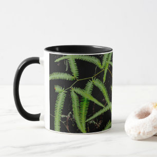Mug Fern