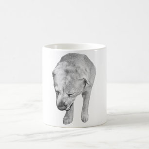 Mug Feu de Labrador dans l'ombrage d'hiver doux