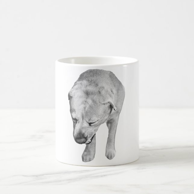 Mug Feu de Labrador dans l'ombrage d'hiver doux (Centre)