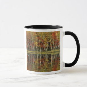 Mug Feuillage d'automne et reflets de bouleau; Hiawath