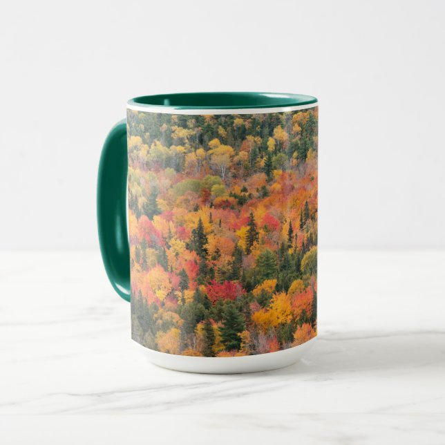 Mug Feuillage d'automne | La péninsule de Keweenaw, Mi (Devant gauche)