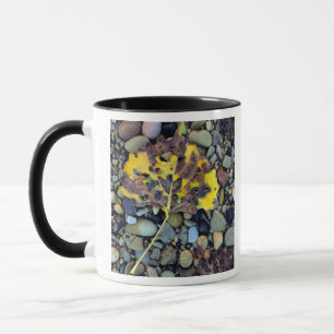 Mug Feuille de peuplier de Fremont sur plaine inondabl