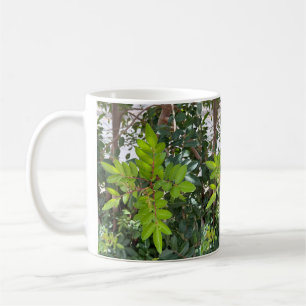 Mug Feuille vert - Photo botanique de Tenerife