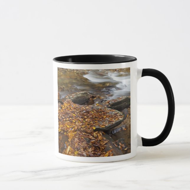 Mug Feuilles d'automne le long de Looking Glass Creek  (Droite)