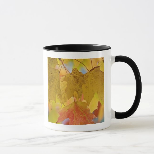 Mug Feuilles d'érable rouges et jaunes, dans le sud (Droite)