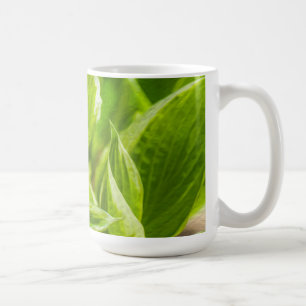 Mug Feuilles verts Hosta