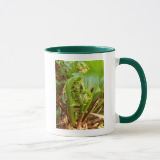 Mug Fiddleheads