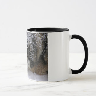 Mug Fille de Willie
