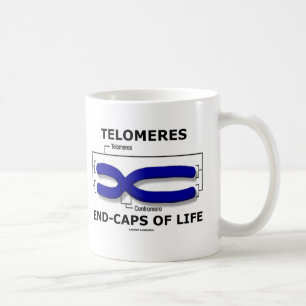 Mug Fin-Casquettes de télomères de la vie (humour de