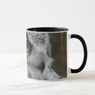 Mug Fin magnifique vers le haut de photographie de