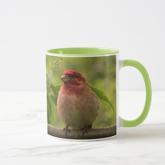Mug Finch pourpre (Droite)