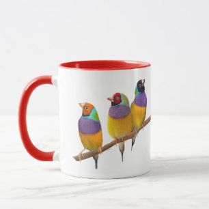 Mug Finches gouldiennes colorées dans les Pastels