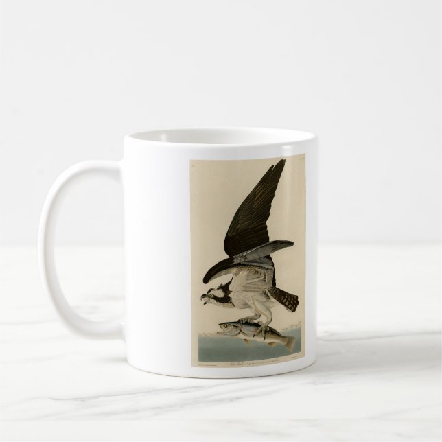 Mug Fish Hawk, Osprey, d'Audubon's Birds of America (Gauche)