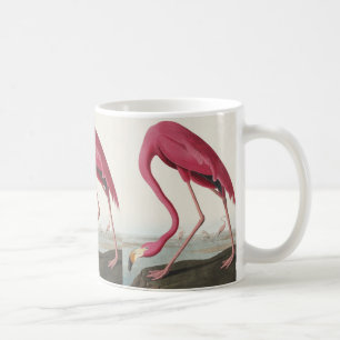 Mug Flamant rose rose des oiseaux d'Amérique