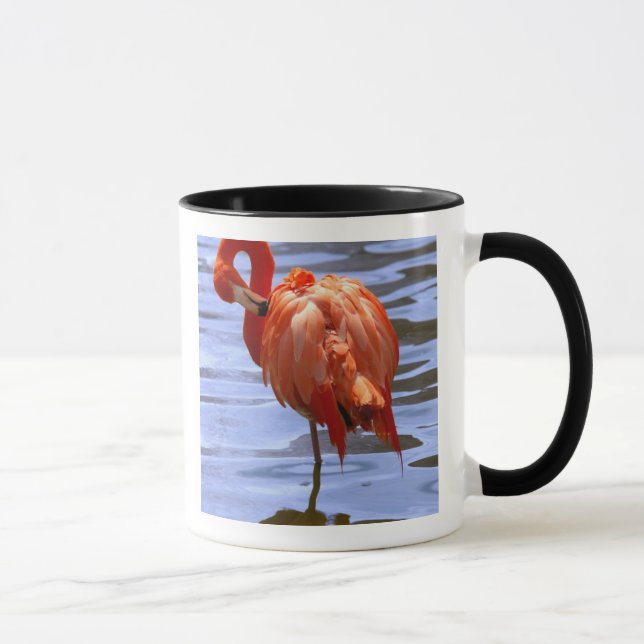 Mug Flamant rose sur une jambe dans l'eau (Droite)