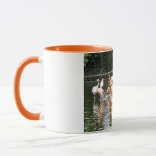 Mug Flamants roses et réflexions