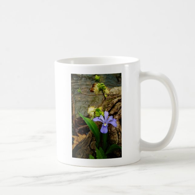 Mug Fleur blanche pourpre bleu Iris (Droite)