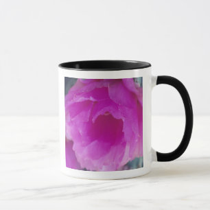 Mug Fleur de Cactus Hérisson Rose (Echinocereus