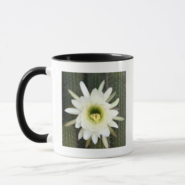 Mug Fleur de cactus Reine de la nuit, région du Karoo (Gauche)
