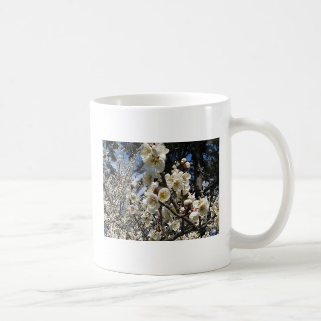 Mug Fleur de cerisier blanc / Sakura / ク(桜) (Droite)