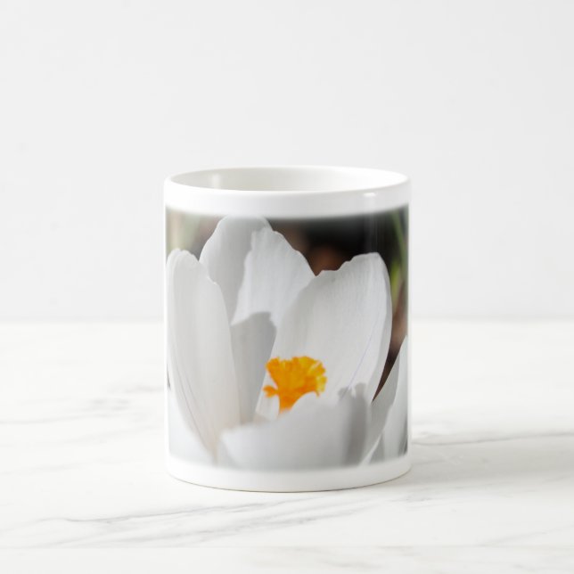 Mug fleur de crocus blanche (Centre)
