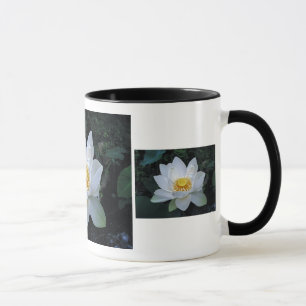 Mug Fleur de Lotus