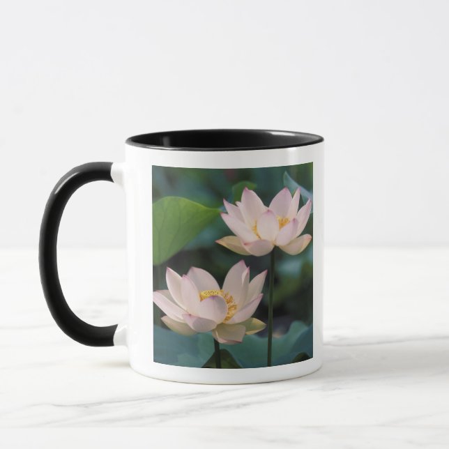 Mug Fleur de Lotus en fleurs, Chine (Gauche)