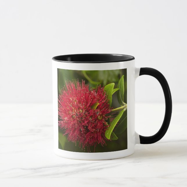 Mug Fleur de Pohutukawa, Dunedin (Droite)