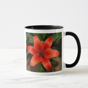 Mug Fleur Lily orange parfaite